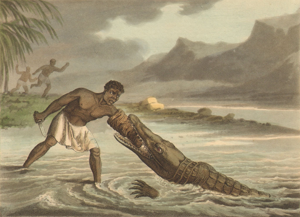 SENEGAL. African Crocodile Hunter. Knife. Arm covered by Cow hide.  (Orme)  1814